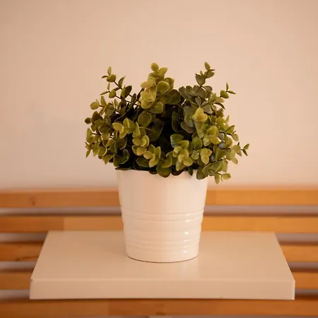 Be Lost - * Pedra Do Ouro