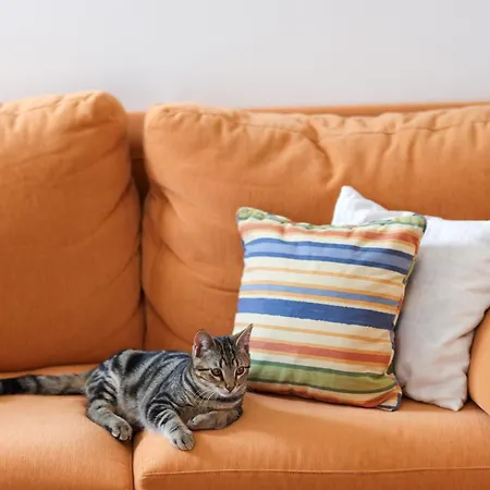 Be Lost - Pedra Do Ouro