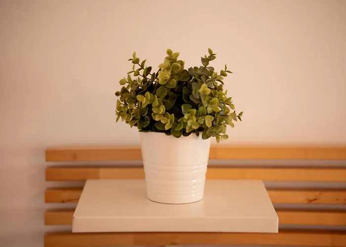 Be Lost - * Pedra Do Ouro